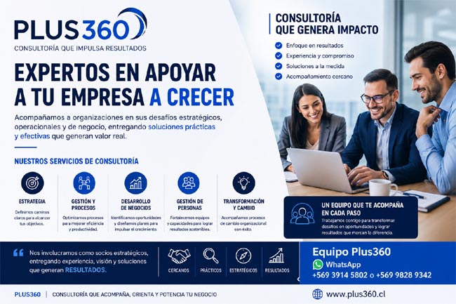 Plus360 Consultores